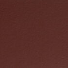 rouge paint colour swatch
