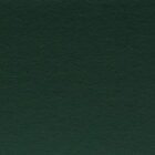 green paint colour swatch