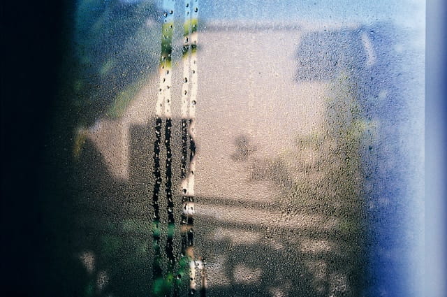 park home condensation